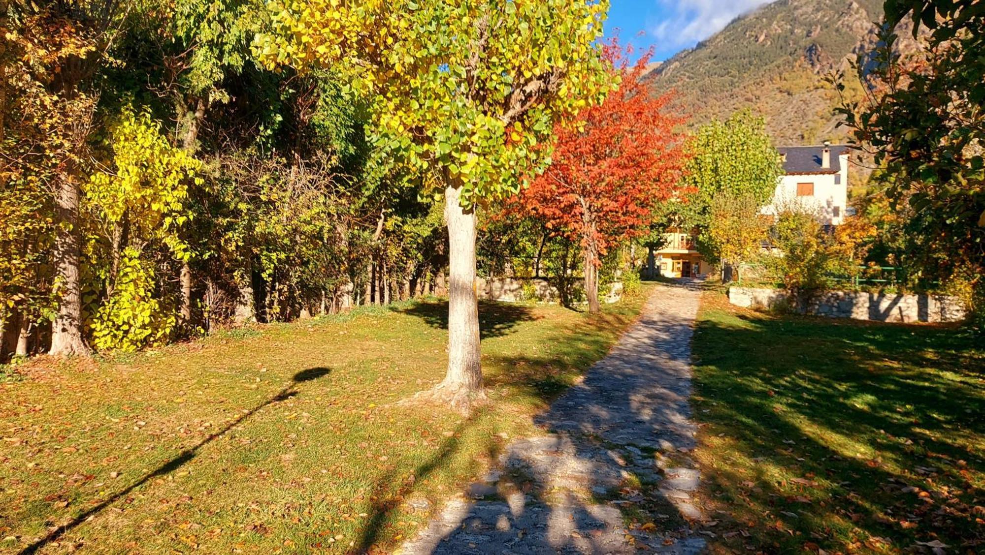 Camping Solau 埃斯波特 外观 照片